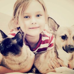 The best pets for your baby