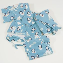 Aqua organic cotton set of baby taken from the maternity with penguins print