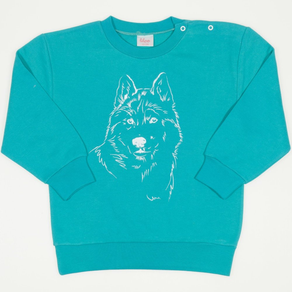 Aqua sweatshirt with wolf print | liloo