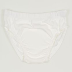 Blanc de blanc briefs