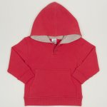 Brick red hoodie | liloo