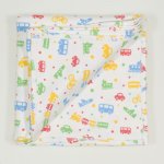 Double layer blanket with transport toys print | liloo