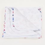 Single layer blanket with car print | liloo