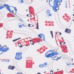 Single layer blanket with car print | liloo