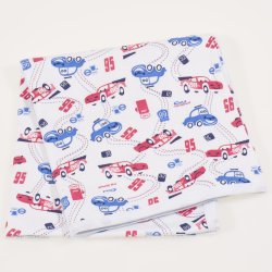 Single layer blanket with car print