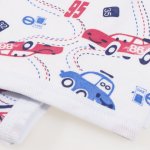 Single layer blanket with car print | liloo