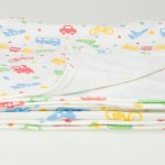 Single layer blanket with transport toys print | liloo