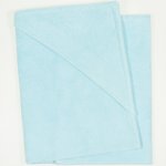 Aqua hooded towel | liloo