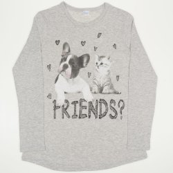 Gray long sleeve t-shirt with friends print