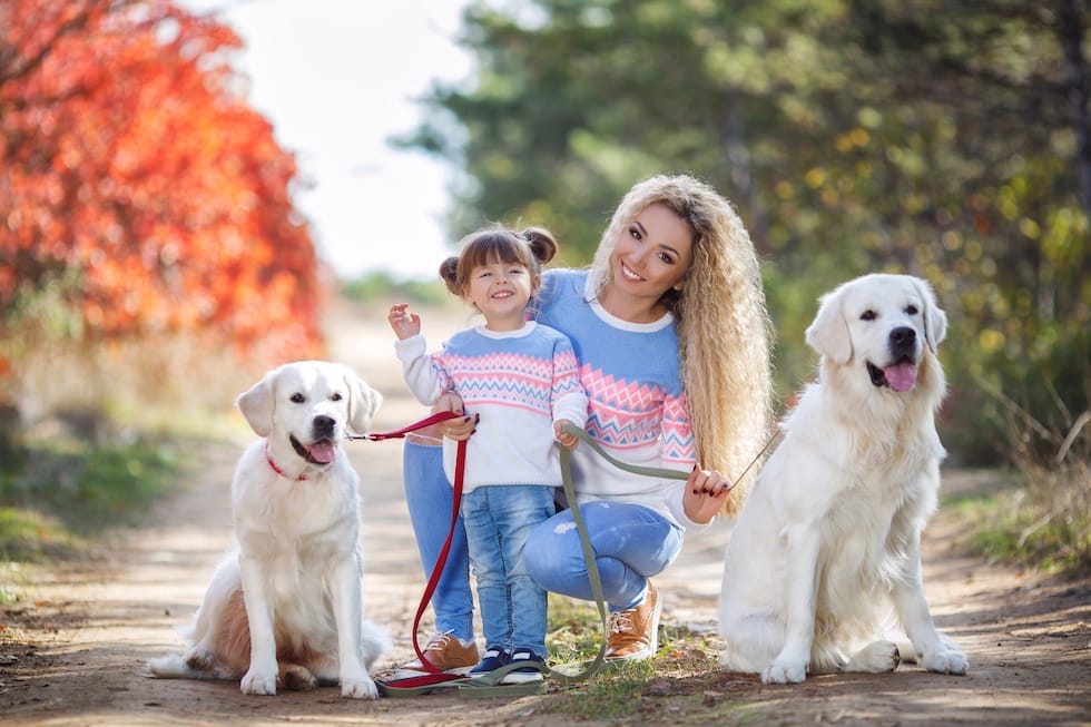 Mom and little girl with puppies for a walk 1