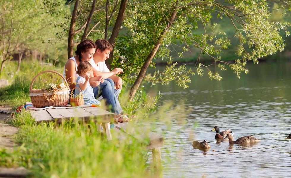 Familie iese la picnic primavara